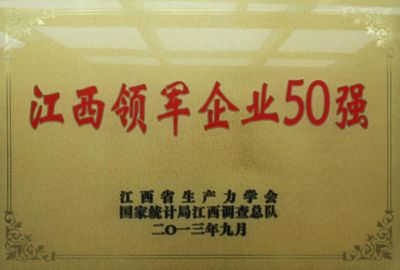 2013江西領軍企業50強